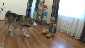 Дядя Фёдор играет с АЛИСОЙ