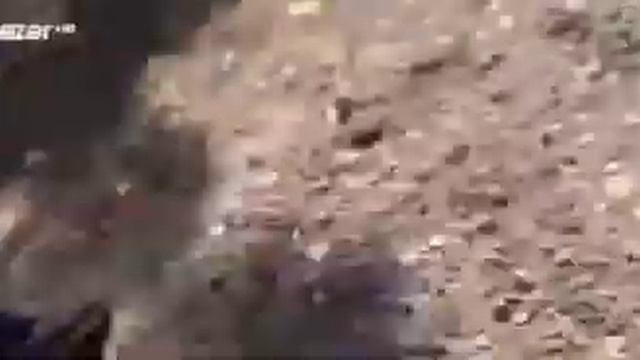 Куда пропал Ибрагим ? Тозламиш - зибиламиш 😂😂😂 смотреть онлайн