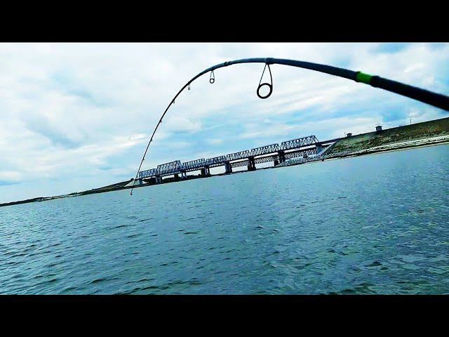 ПОШЛА ЖАРА! СУДАК ПОПЁР!) РЫБАЛКА НА ДОНУ 2021 смотреть онлайн