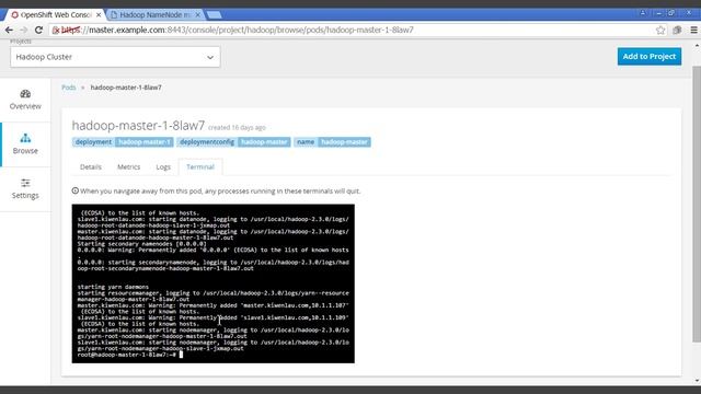 Red Hat OpenShift 3 Hadoop Demo смотреть онлайн