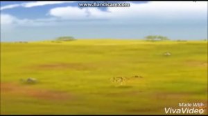 Клип Хранитель лев Кайон и Фули день и ночь