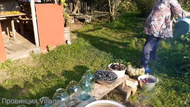 Здоровое Питание и Диеты