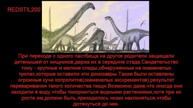 История вымерших животных(завроподы часть 2) смотреть онлайн