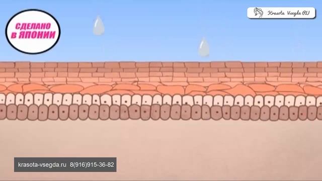 Вашим ногам нужны пилинг-носочки Sosu смотреть онлайн