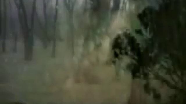 Энциклопедия Иоганн Кеплер смотреть онлайн