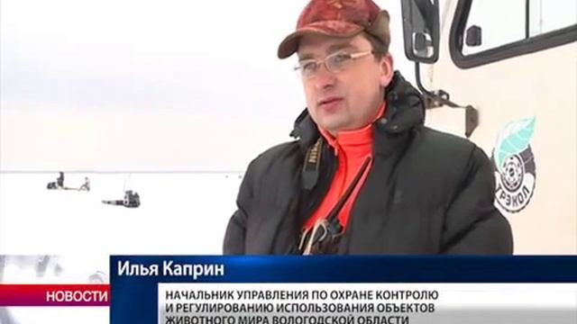 Законно ли ведется рыбная ловля на Кубенском озере? смотреть онлайн