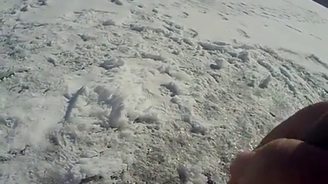 просыпается плотва. одна штука уже есть. смотреть онлайн