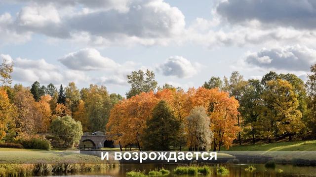 Твои ладошки смотреть онлайн