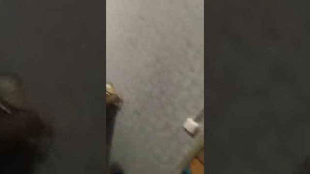 Яна бир фохиша колга тушди смотреть онлайн