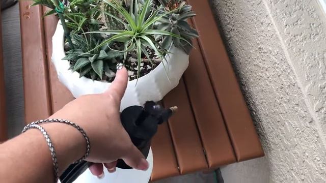 Watering Day смотреть онлайн
