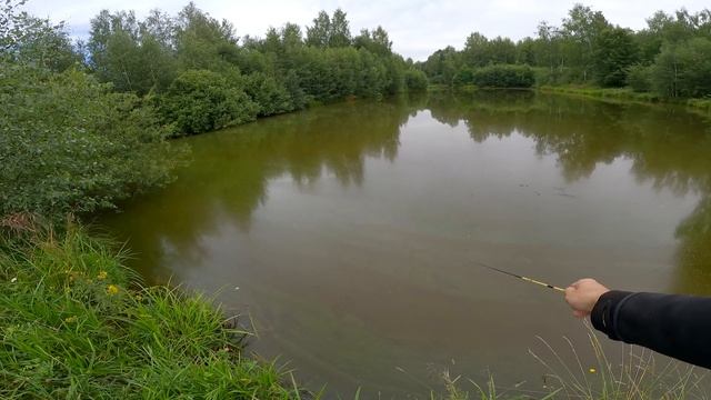 Tanago Fishing Russian Edition | Рыбалка на Танаго в деревенском пруду