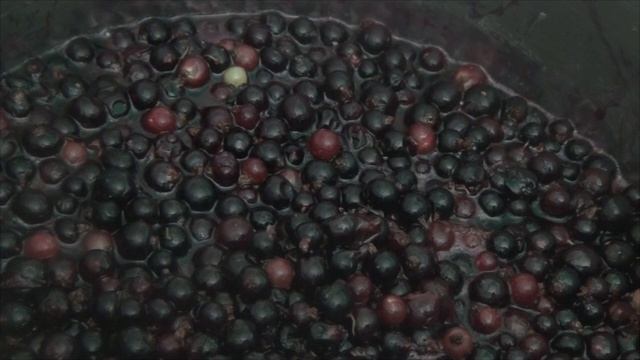 Йога и Медитация