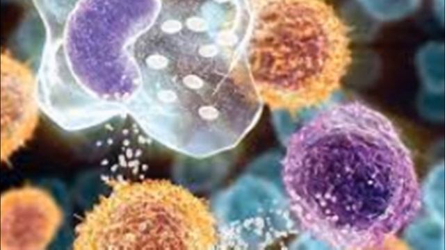 Только брокколи сохранит здоровье даже в 90 лет. Как восстановить здоровье без лекарств. смотреть онлайн