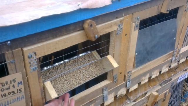 Первое видео. Первые клетки. смотреть онлайн