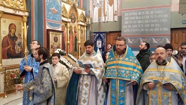 Акафист пред иконой Б. М. "Избавительница" возгл. епископом Борисовским и Марьиногорским Вениамином смотреть онлайн