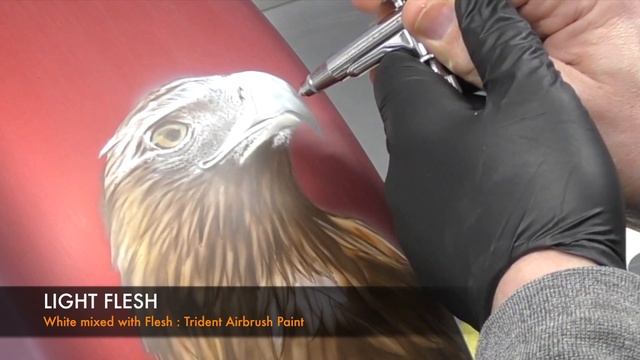 Airbrushing A Wedge Tailed Eagle | Part 2