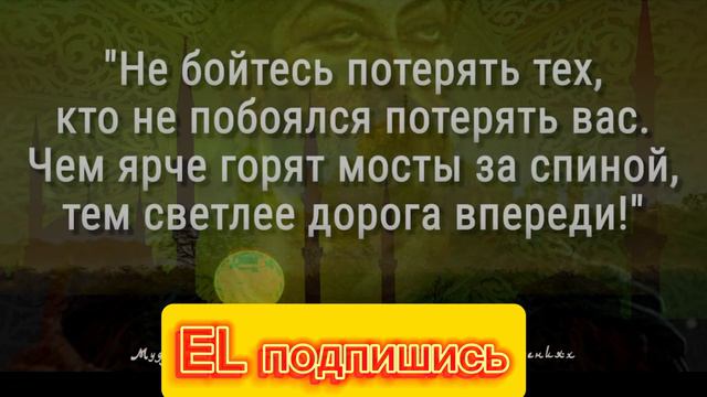 мудрые цитаты