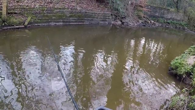 STICK FLOAT FISHING FOR CHUB WITH KORUM GLIDE