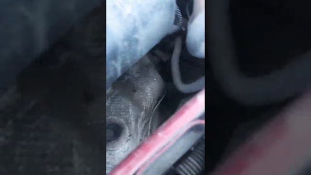 22 июля 2020 г. Двигатель Fiat Doblo (albea) 1.4 i фиат добло (альбеа) с навесным или без МКПП добл смотреть онлайн