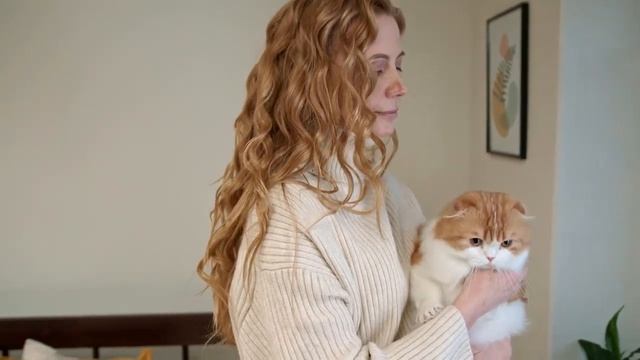 Почему кошки уходят из дома? Ушла умирать? Что говорят народные приметы? смотреть онлайн