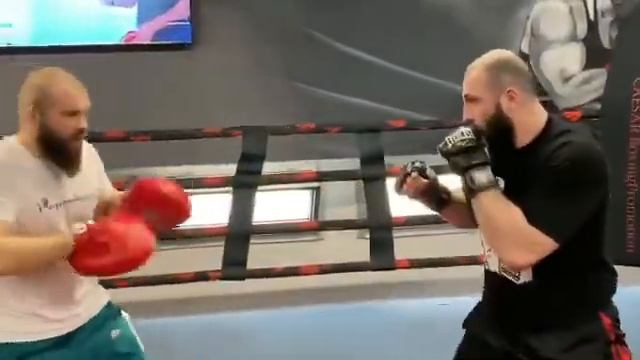 Дауд Стханский работа на лапах смотреть онлайн