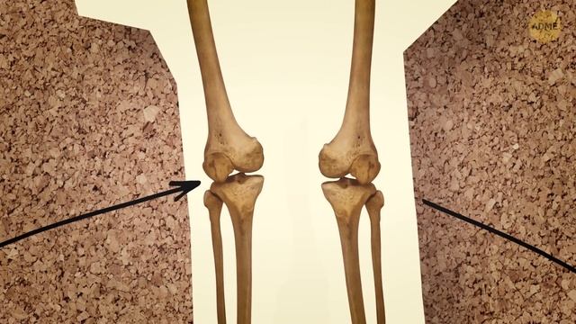 Что, если бы части нашего тела стали совершенными смотреть онлайн