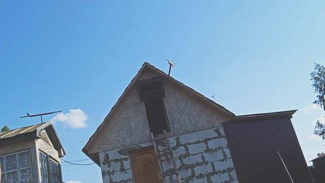 10 июля 2021 г. смотреть онлайн