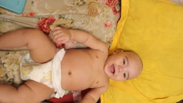 пусть работает медведь, у него 4 лапы смотреть онлайн