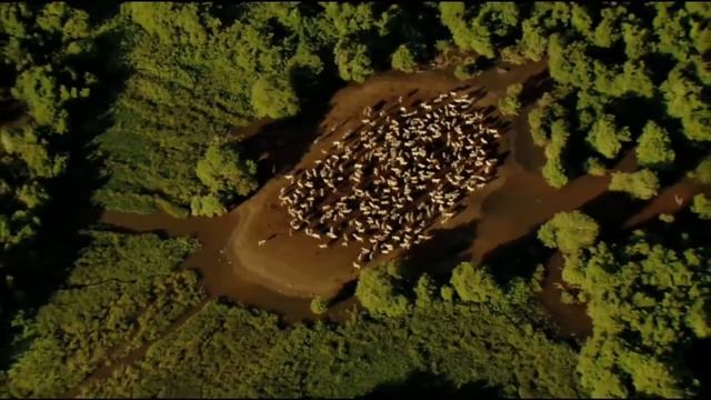 Дом, планета Земля смотреть онлайн