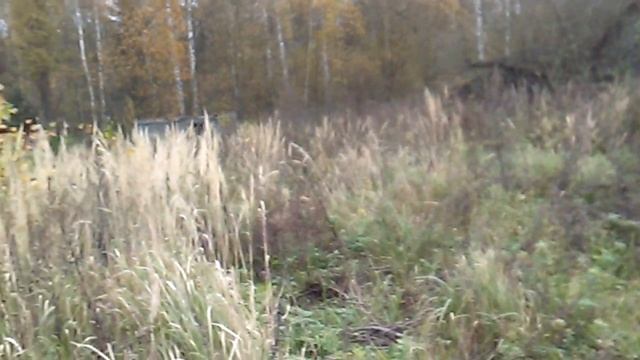 Продается уч 6 сот СНТ Кривское смотреть онлайн