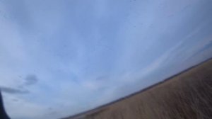 охота на гуся с нео 12 .тысячный налет гуся