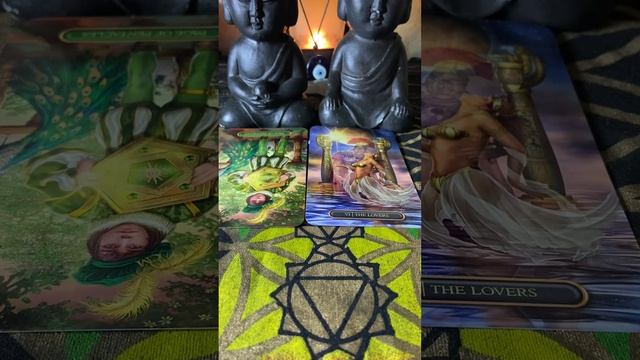 Spirit says do you want true love or not ? (trigger warning) collective reading #tarot✨?✨?✨ смотреть онлайн