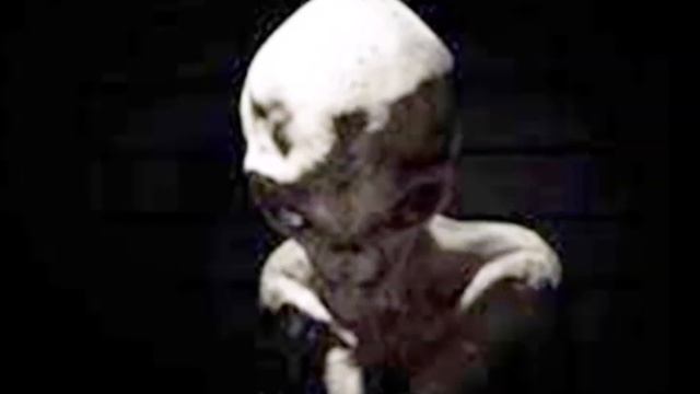 en EBE 36a)2020-9-19 ( Contact with Alien ) Ufo Congress in Czech Krucemburk cc.- смотреть онлайн