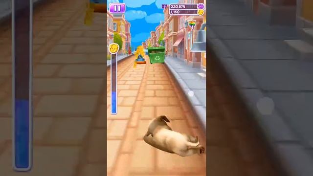 Pet Run - Puppy Dog Run Game (Part 2) смотреть онлайн