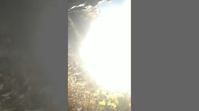 Полетели «подарочки» для ВСУк которые в зданиях сидят. смотреть онлайн