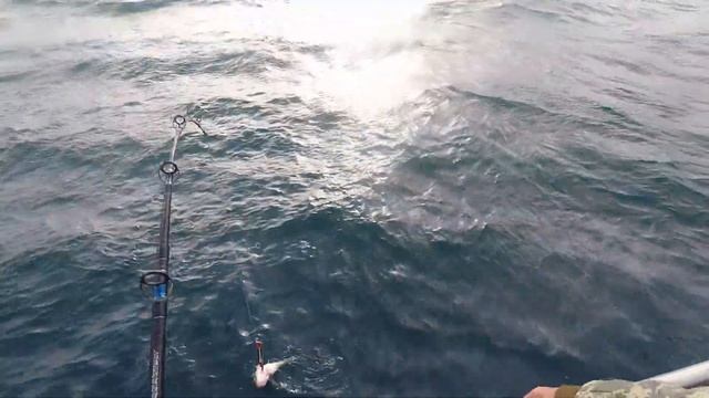 Рыбалка в Баренцевом море 2017 смотреть онлайн