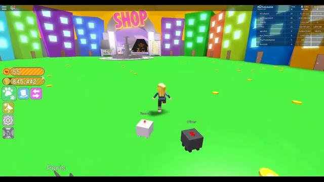 Симулятор домашних животных Pet simulator Играть в роблокс с домашним питомцем Roblox 2 смотреть онлайн