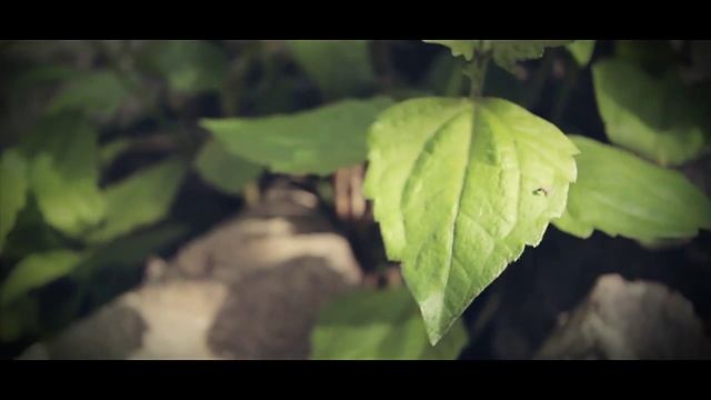 AMANTI смотреть онлайн