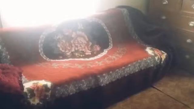 Продаём дачу, Шелеховский район, станция Голубые Ели! смотреть онлайн