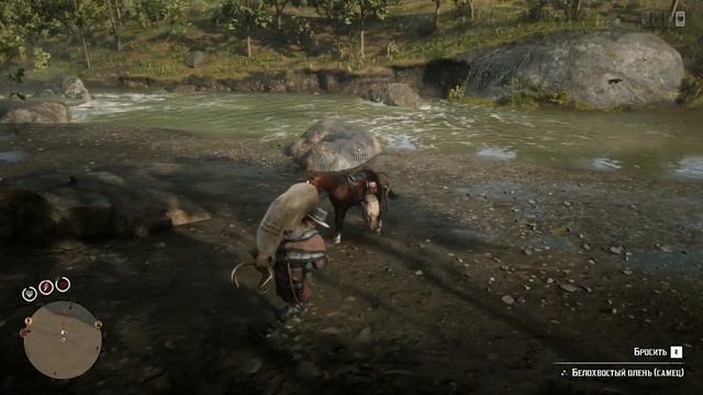 Red Dead Redemption 2 Online: Перевозим две туши на лошади! смотреть онлайн