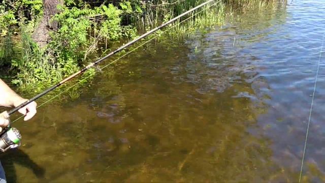 Как правильно выставлять фрикционный тормоз на безынерционной катушке?