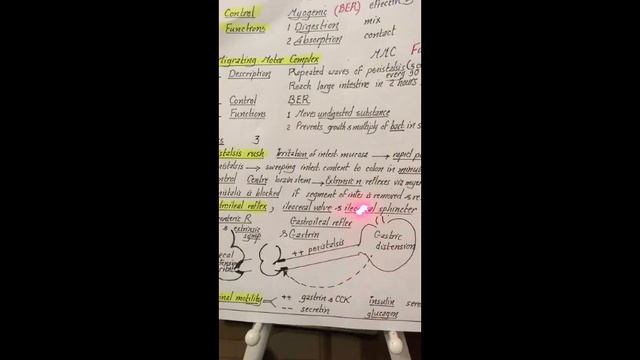Dr.Nagi - Live Physiology - Lecture 110 - GIT (6) - Small & Large Intrstine смотреть онлайн