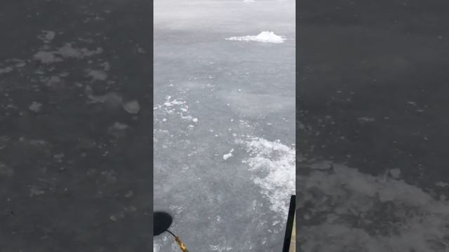 uWAVE гидроакустический модем. Связь на дистанции 1000 метров смотреть онлайн