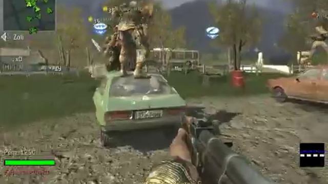 Call of Duty 4 Zombie Server смотреть онлайн