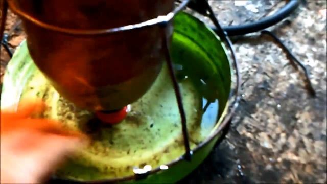 Поилка - бульонница для курей своими руками