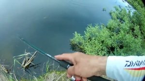 Jackall Mag Sguad-128 SP  V/S  TsuYoki Flirt.