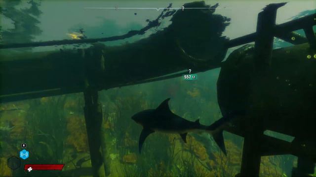 Maneater (прохождение без комментариев на ПК, часть 5)