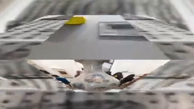 250th Summer Exhibition -Royal Academy of Art смотреть онлайн