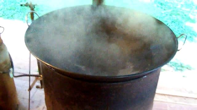 WOK 5/30/2016 смотреть онлайн