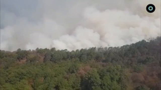 EVACUARAN A FAMILIAS DE POTRERO REDONDO DEBIDO AL AVANCE DEL INCENDIO FORESTAL смотреть онлайн